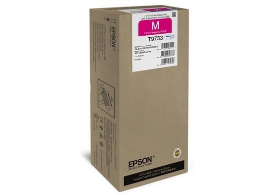 Epson Ink Cartridge 1 Pc(S)  • C13T97330N
