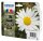 Epson 18XL ink cartridge blk • C13T18164022