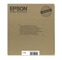 Epson Pen And Crossword Multipack  • C13T16264511