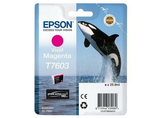 Epson Ink Cartridge 1 Pc(S)  • C13T76034N10