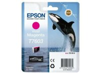 Epson Ink Cartridge 1 Pc(S)  • C13T76034N10