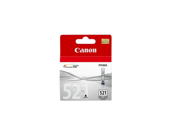 Canon Ink Grey 9ml. • 2937B001