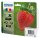 Epson Multipack Fraise - Enc • C13T29964022